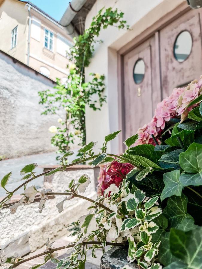 Divna Pani Luxury Gallery Banska Stiavnica